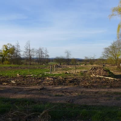 Biblisheim – Bild 17