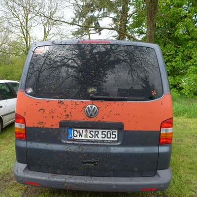 Biblisheim – Bild 21
