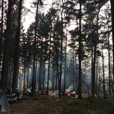Hammelbach – Bild 12