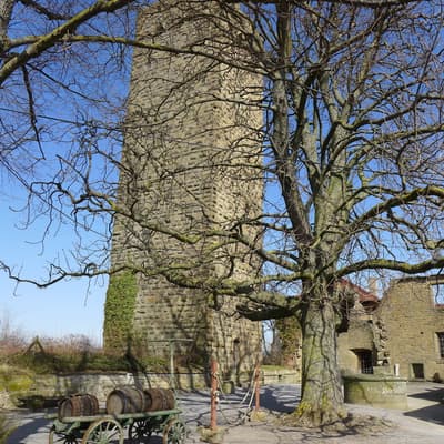 Hammelbach – Bild 26