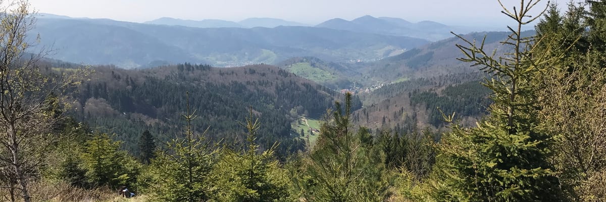 Biblisheim