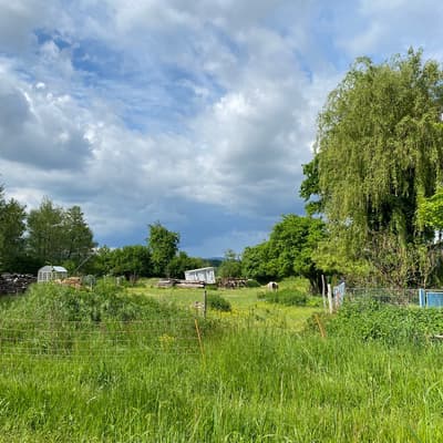 Biblisheim – Bild 17