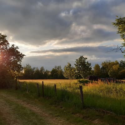 Biblisheim – Bild 33