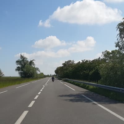 Biblisheim – Bild 47