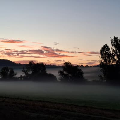 Südwest 500 – Bild 26