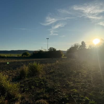 Südwest 500 – Bild 73